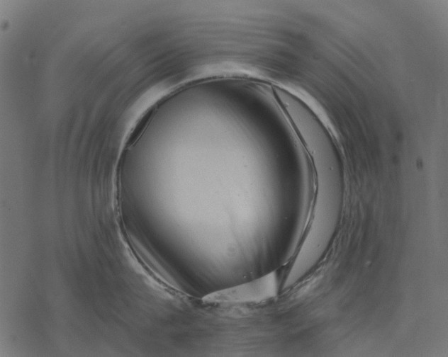 X0000077310815200611031639