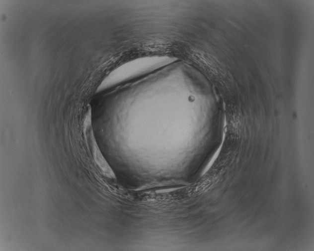X0000077310817200611031638