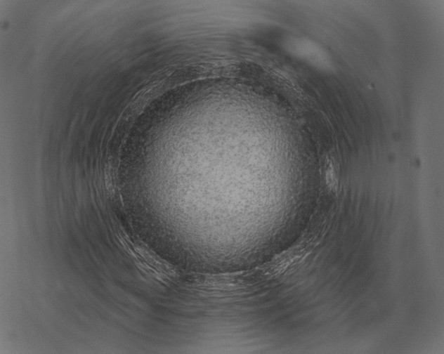 X0000077310819200611031638