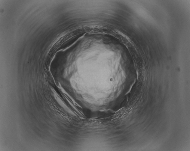X0000077310823200611031638