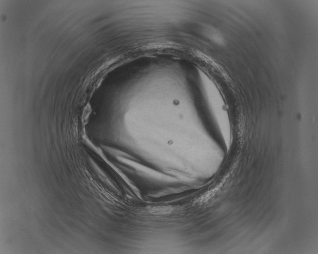 X0000077310825200611031638