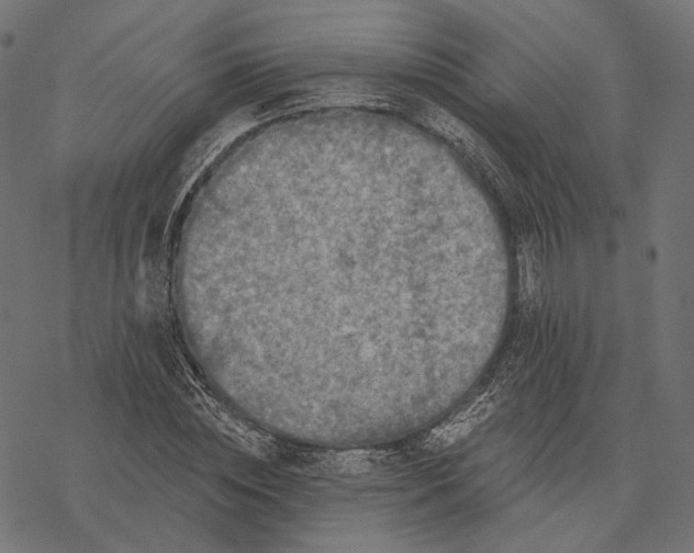 X0000077310828200611031638