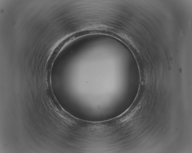 X0000077310830200611031638