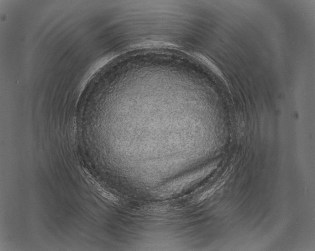 X0000077310831200611031638