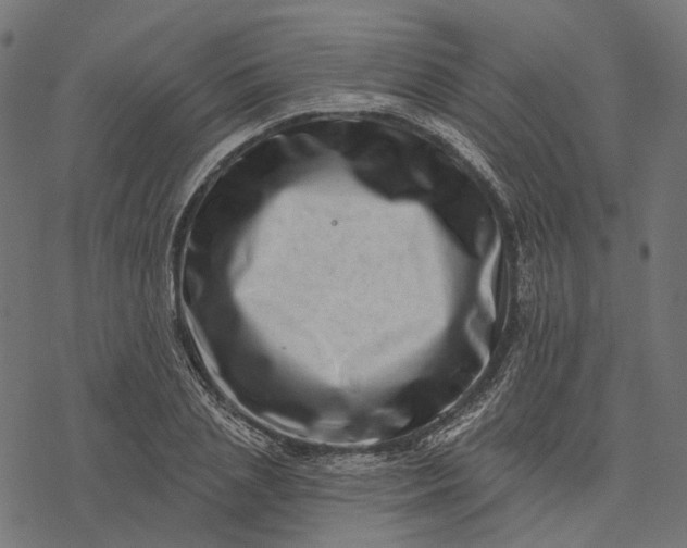 X0000077310837200611031638