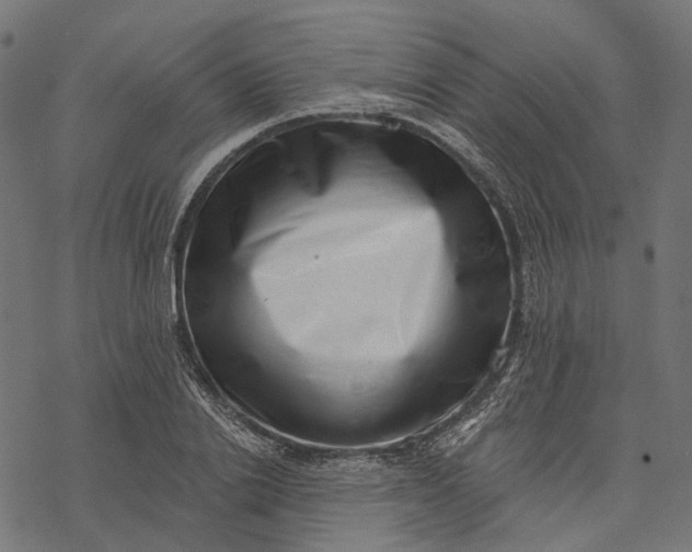 X0000077310838200611031638