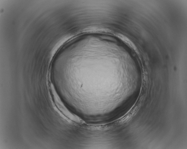 X0000077310855200611031639