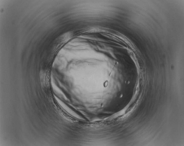 X0000077310857200611031639