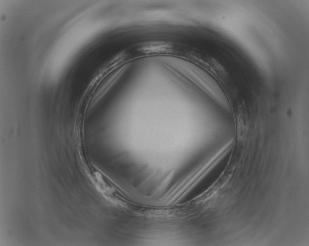 X0000077310861200611031639