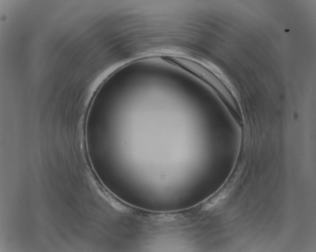 X0000077310862200611031639