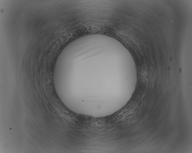X0000077310865200611031638