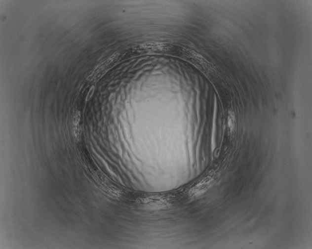 X0000077310867200611031638
