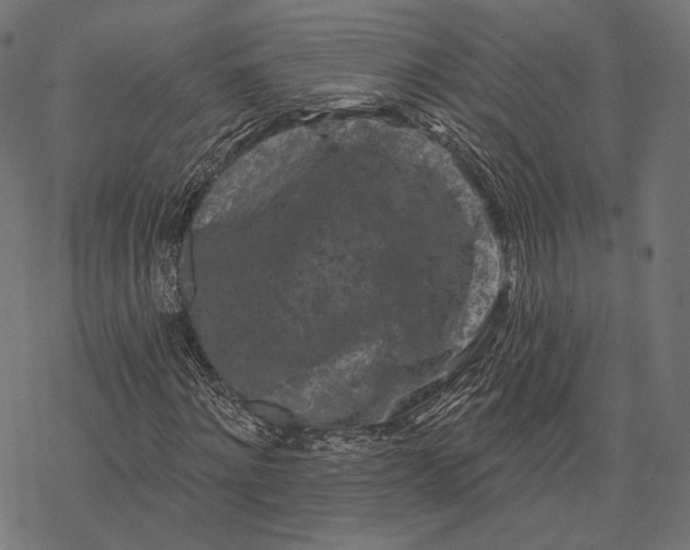 X0000077310868200611031638