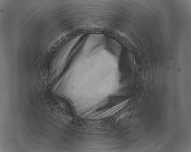 X0000077310870200611031638