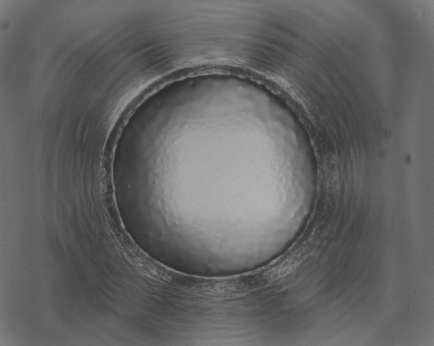 X0000077310879200611031638