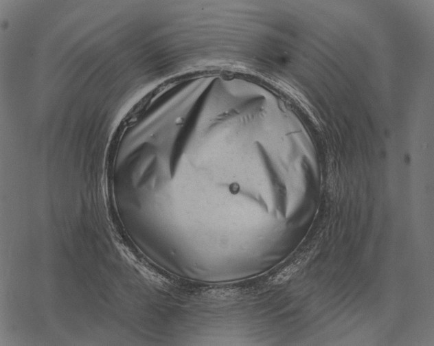 X0000077310888200611031638