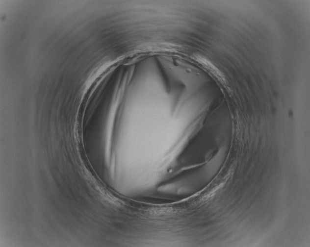 X0000077310893200611031637