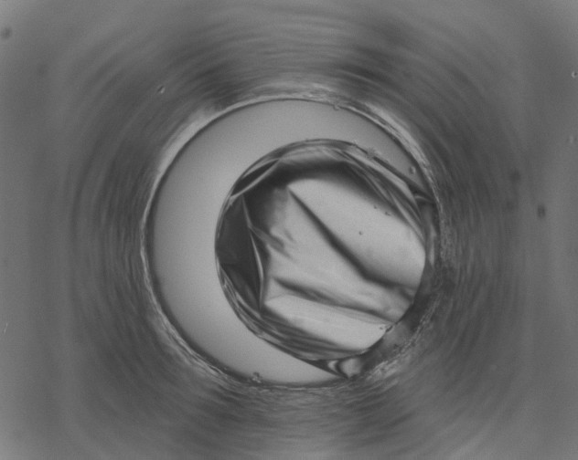 X0000077310899200611031637