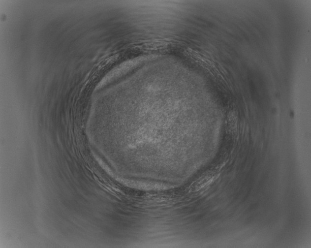 X0000077310913200611031636
