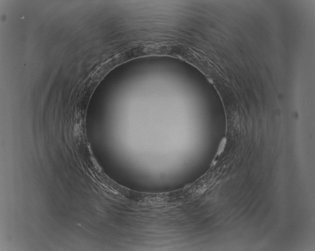 X0000077310914200611031636