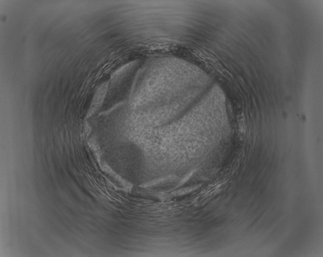 X0000077310916200611031636