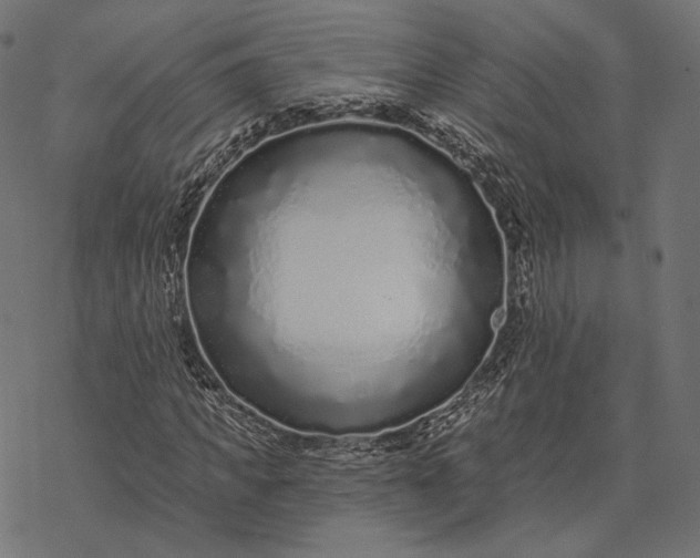 X0000077310917200611031636