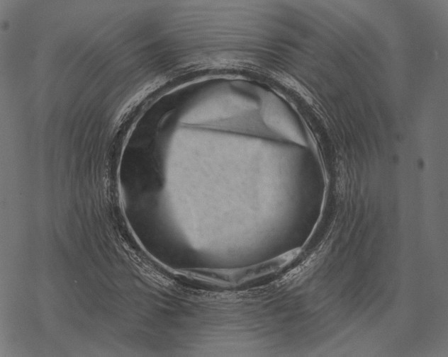 X0000077310922200611031636