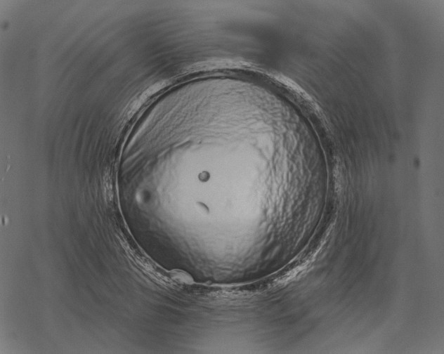 X0000077310929200611031637
