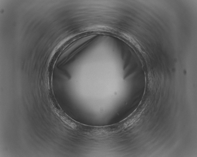 X0000077310931200611031637