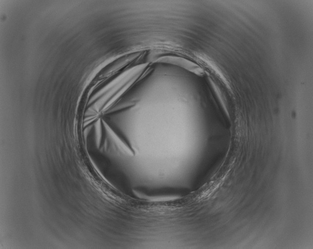 X0000077310932200611031637