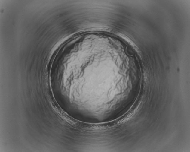 X0000077310933200611031637
