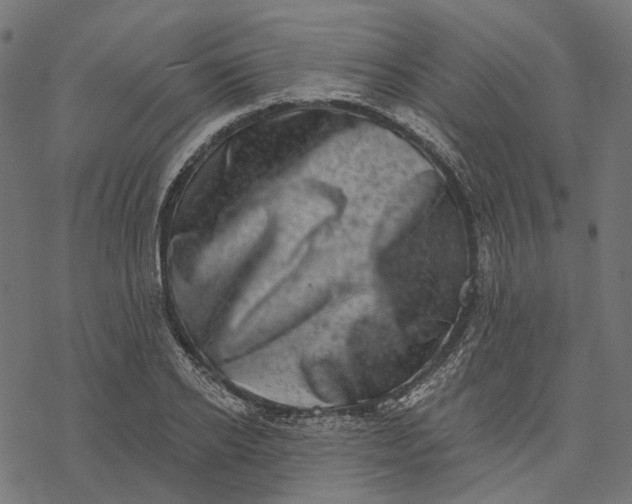 X0000077310934200611031637