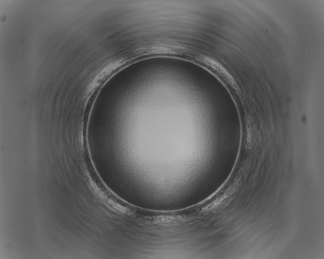 X0000077310938200611031637