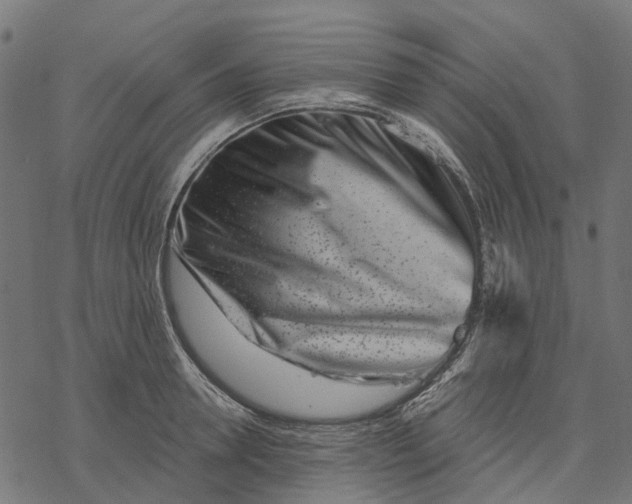 X0000077310946200611031637