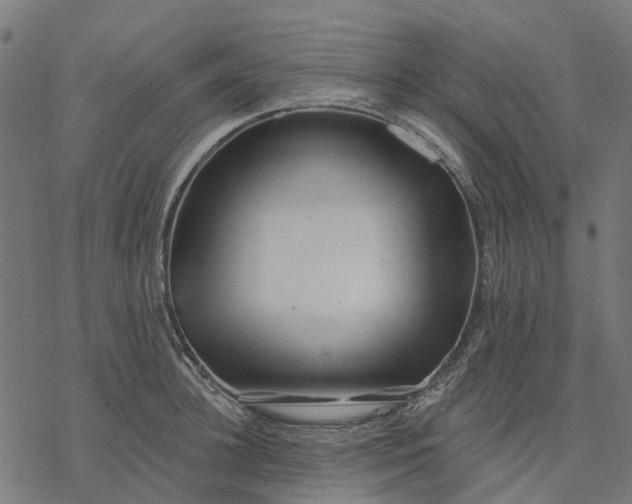 X0000077310948200611031637