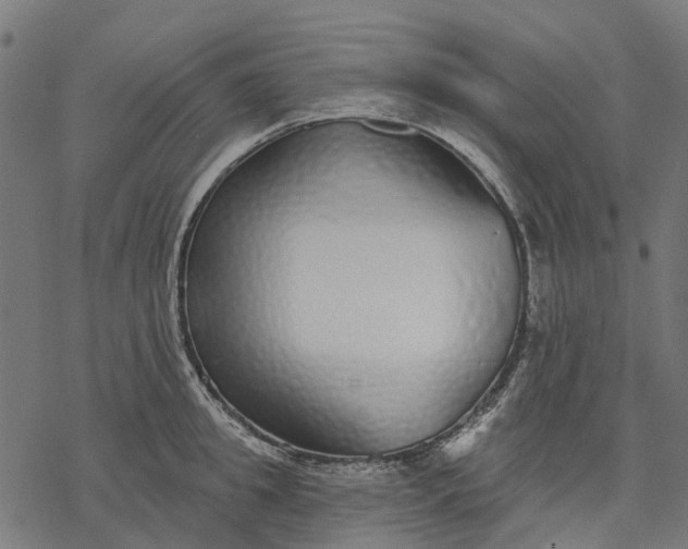X0000077310949200611031637