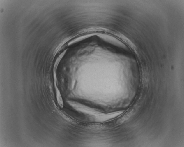 X0000077310953200611031637