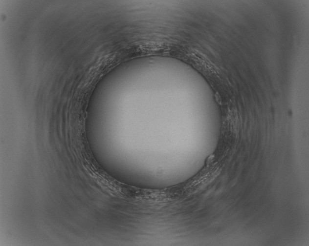 X0000077310961200611031636