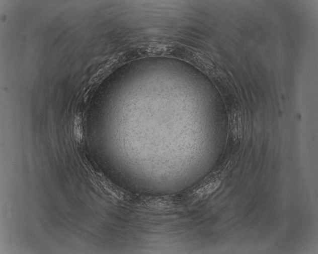 X0000077310962200611031636