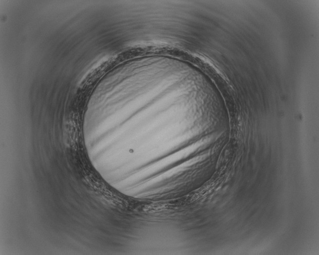 X0000077310967200611031636