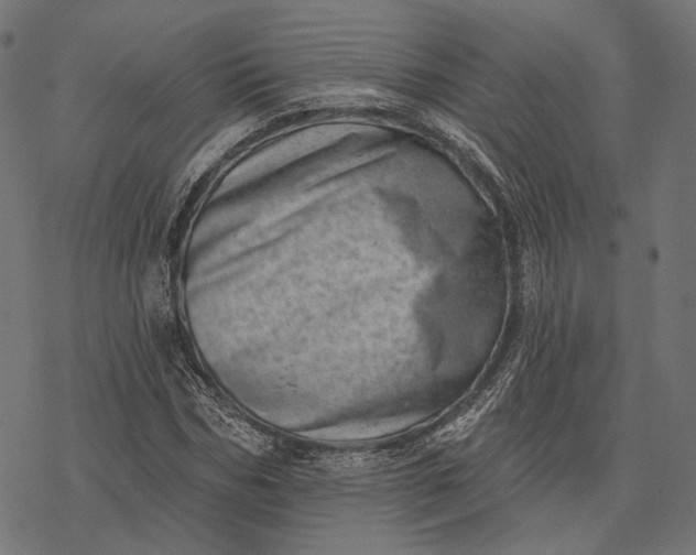 X0000077310970200611031636