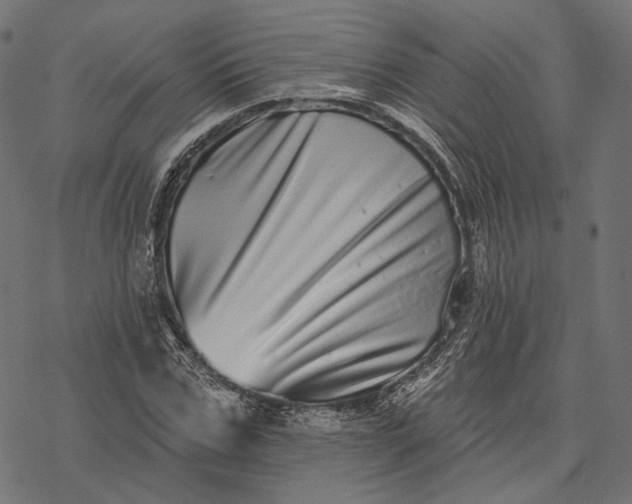 X0000077310971200611031636