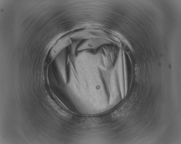 X0000077310972200611031636