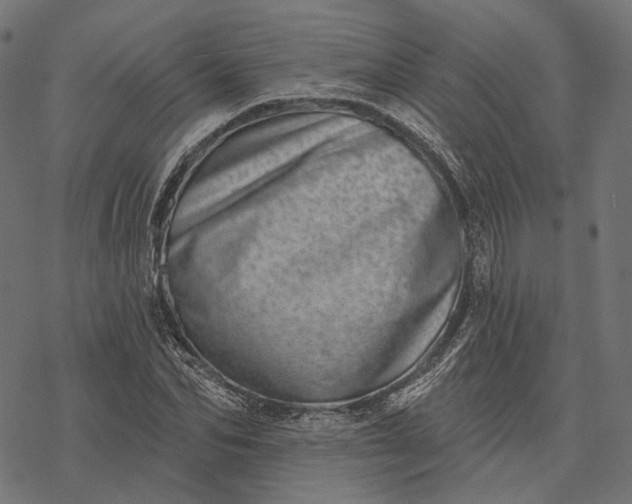 X0000077310974200611031636