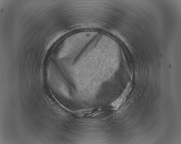 X0000077310975200611031636