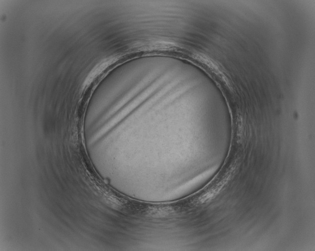 X0000077310978200611031636