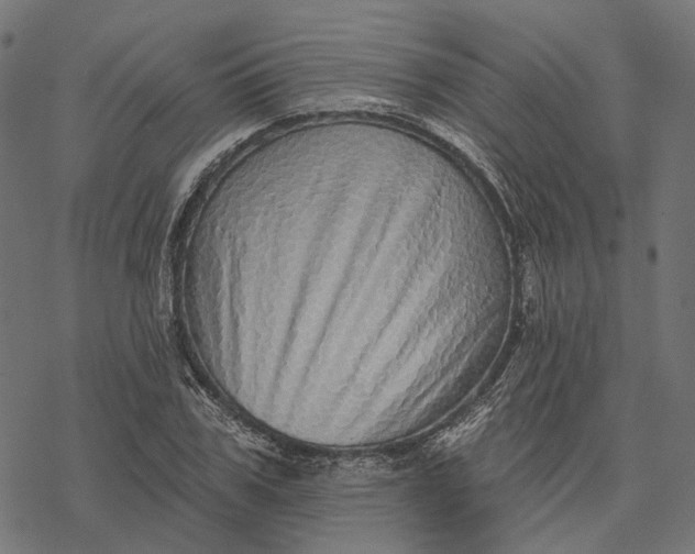 X0000077310979200611031636