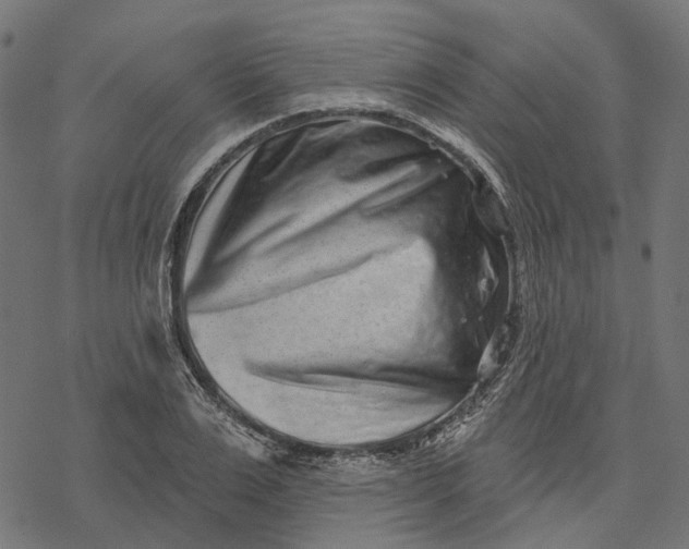X0000077310983200611031636