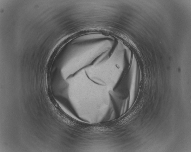 X0000077310984200611031636