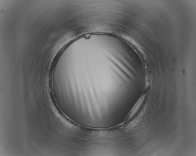 X0000077310991200611031636